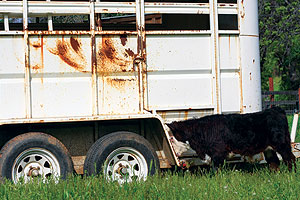 Help Us Get a New Trailer!​