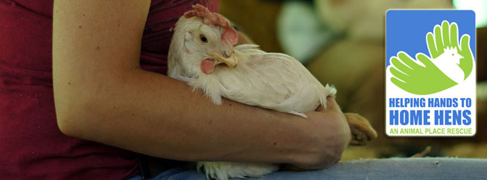 Helping Hands Rescue