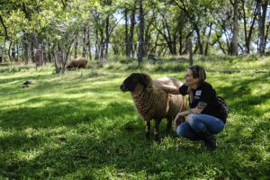 march 21 2015 D (1 of 1)