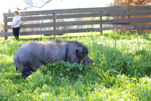 march 8 2015 anastasia small