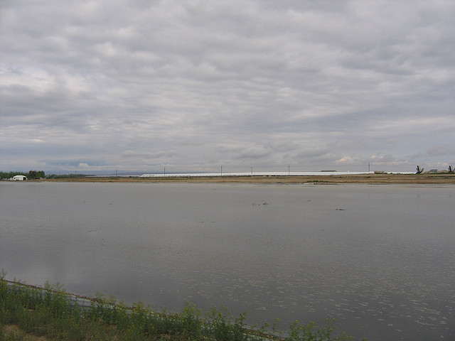 3179668045_900e4db816_z