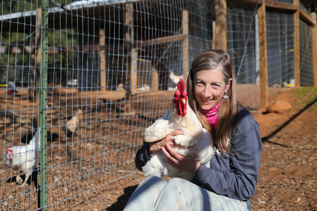 Volunteer Spotlight: Socializers