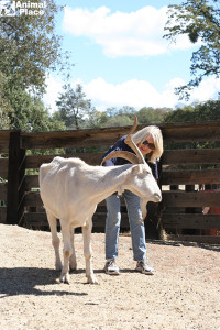 sept 25 2013 sue willy sma