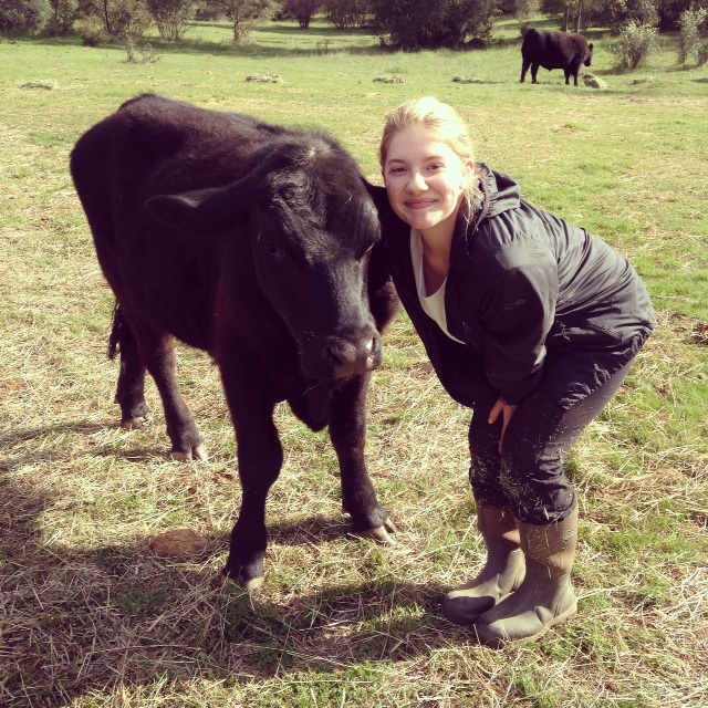 Intern extraordinaire Abby