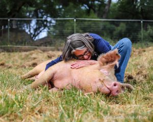 May 4 2016 Angi A sma