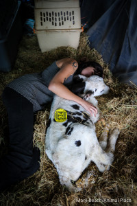 october-14-2016-levi-a-1-of-1