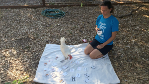 screen-shot-2016-10-05-at-1-16-50-pm