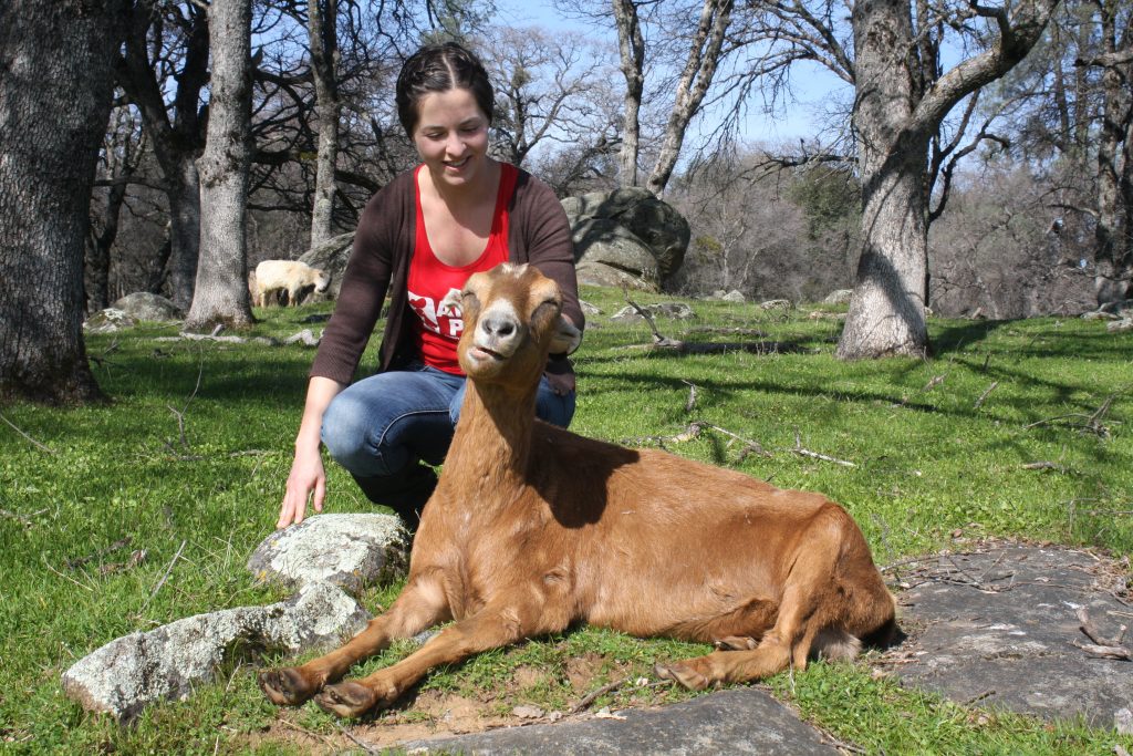 Leading a Life of Compassion as an Animal Place Volunteer