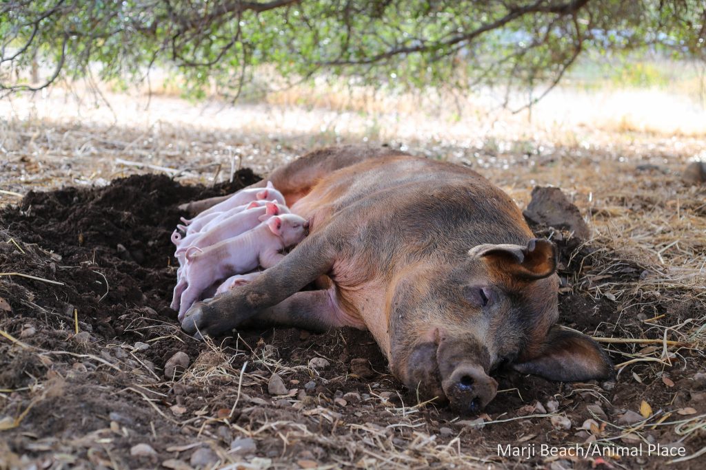 22324647094_db112fe169_k