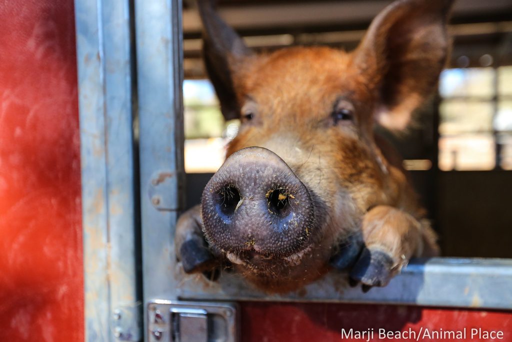 44363929300_c2e349c385_k