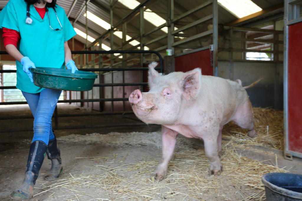 30957797911_a15e59187c_o