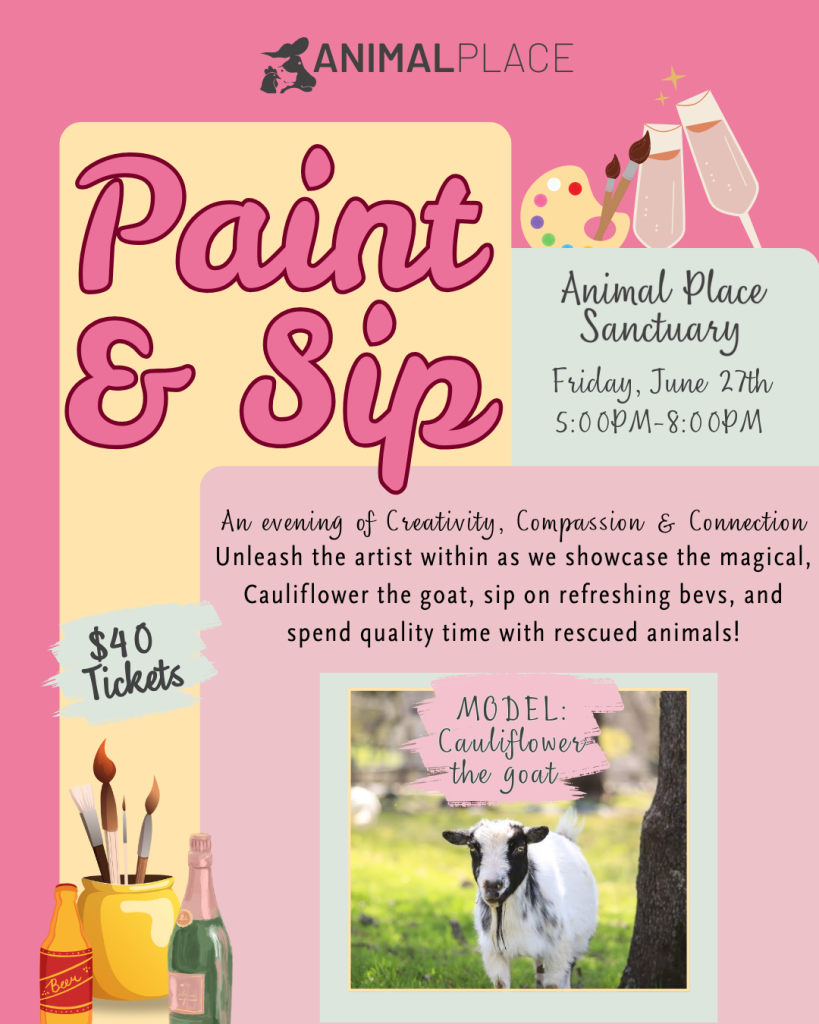 5cd85a6c-35af-11f0-80d2-0ec9306edbd7