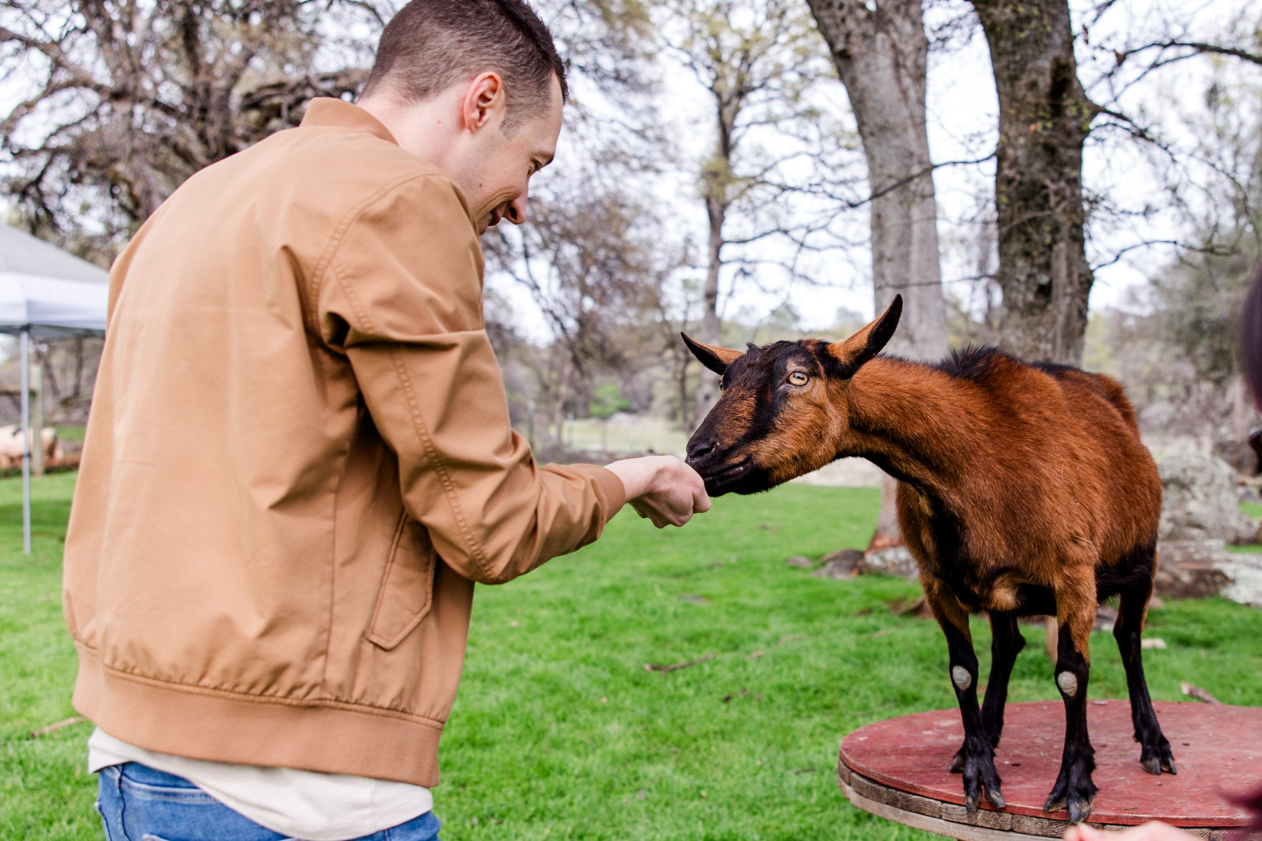 Animal Place - Meat Out-0052 (1)