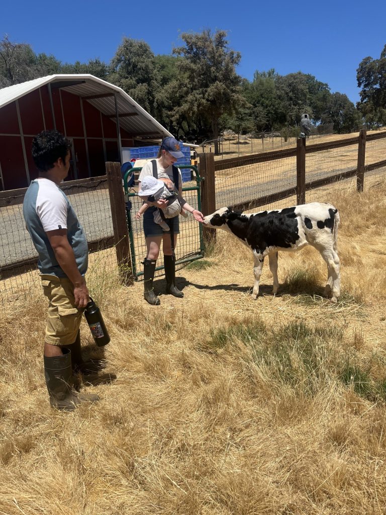 thumbnail_Anne photo 2