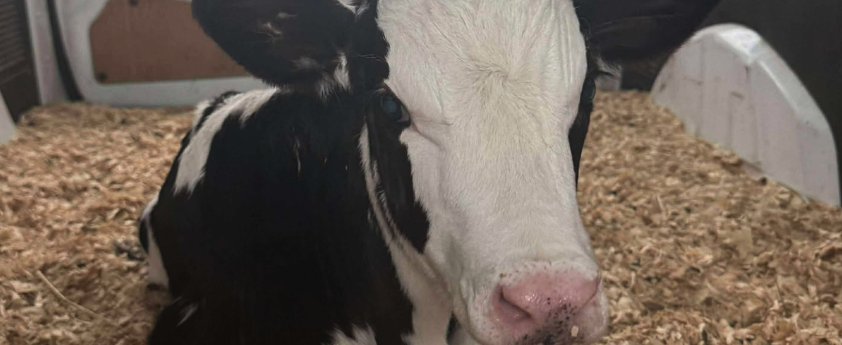 Screenshot 2025-12-02 at 10.36.58 AM